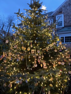 Tree of Remembrance